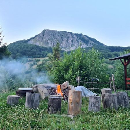 Cabana Belvedere Dragoslavele Kültér fotó